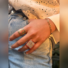 Load image into Gallery viewer, Baagh